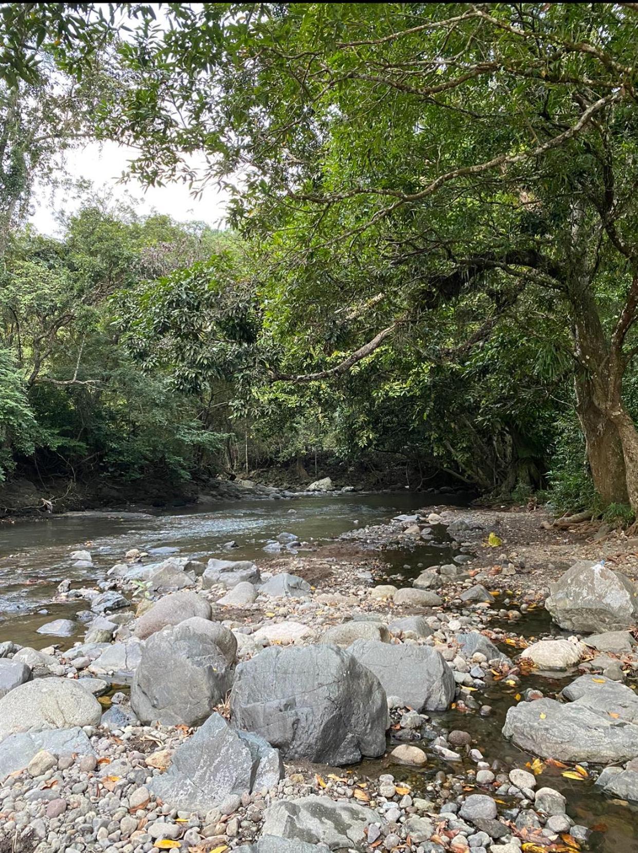 Hakata Lejja Near Natural Hot Spring Batu-Batu المظهر الخارجي الصورة
